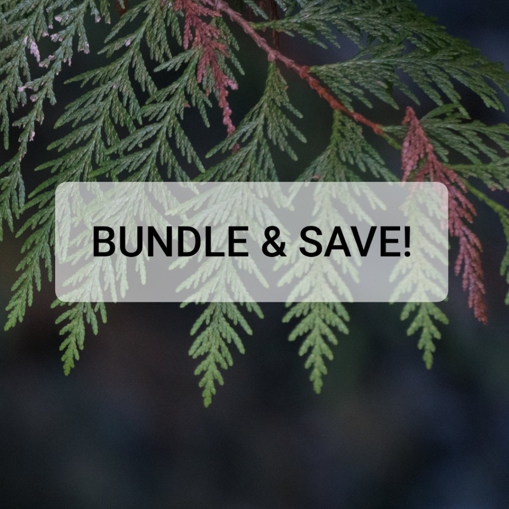 Bundle and Save! ✌